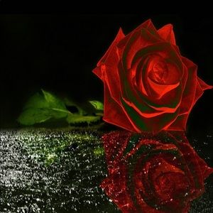 Meet your Posher, Malcolm